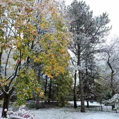66, Apricot, Bayview Glen, Markham