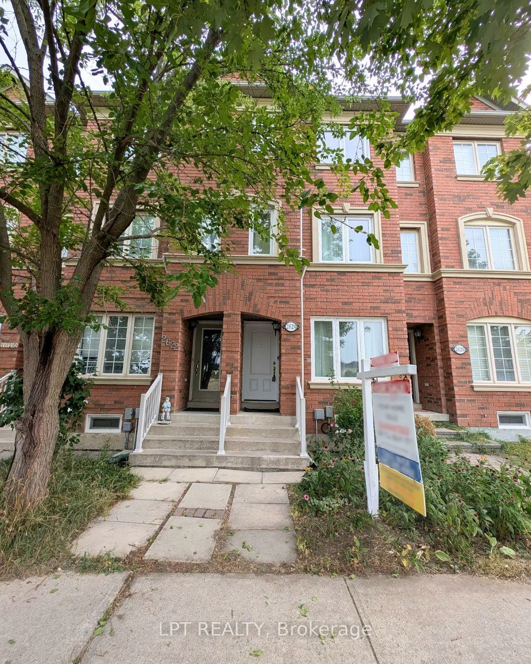 2624, Bur Oak, Cornell, Markham