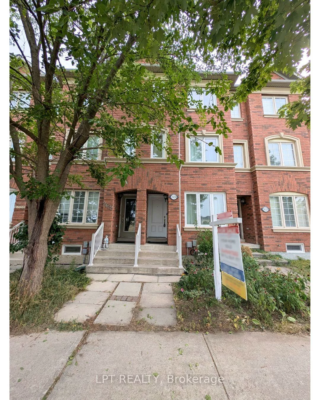 2624, Bur Oak, Cornell, Markham