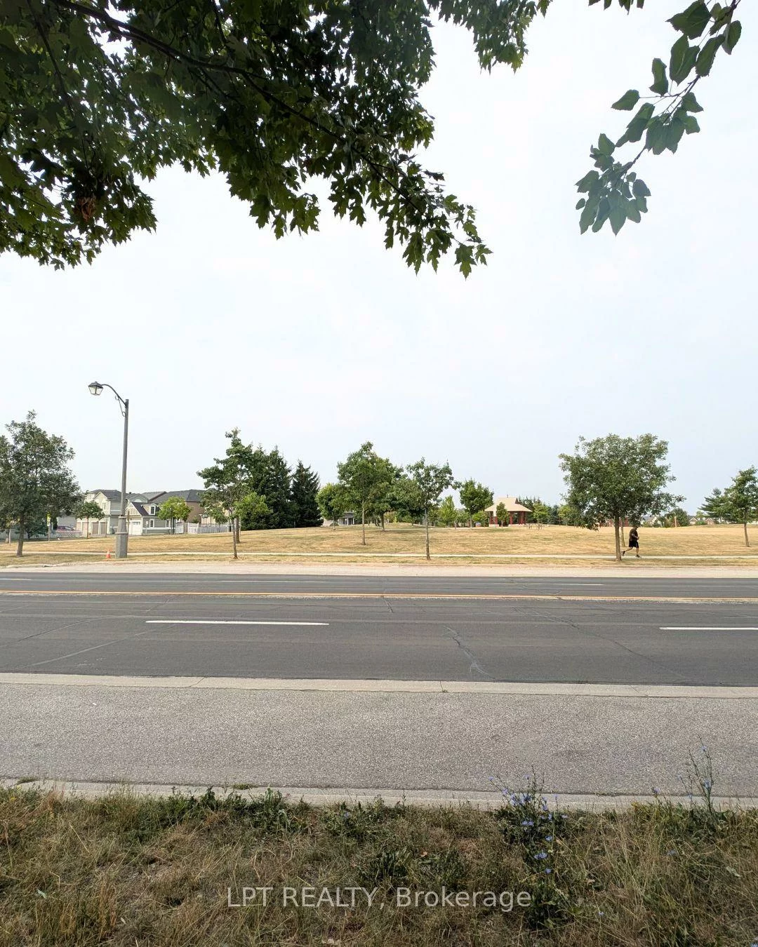 2624, Bur Oak, Cornell, Markham