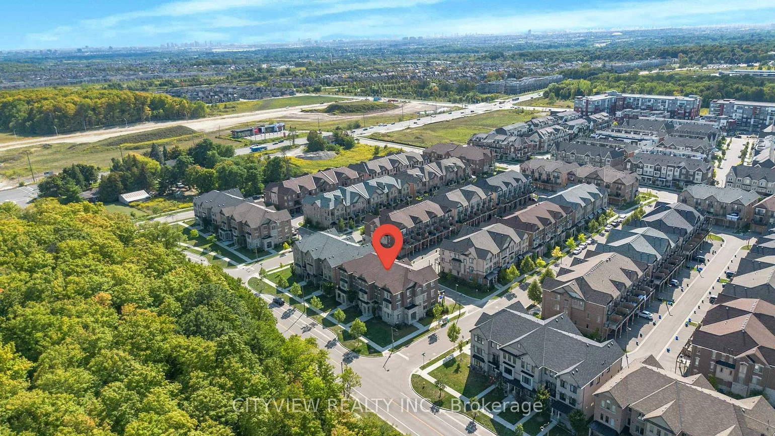 204, William Forster, Cornell, Markham