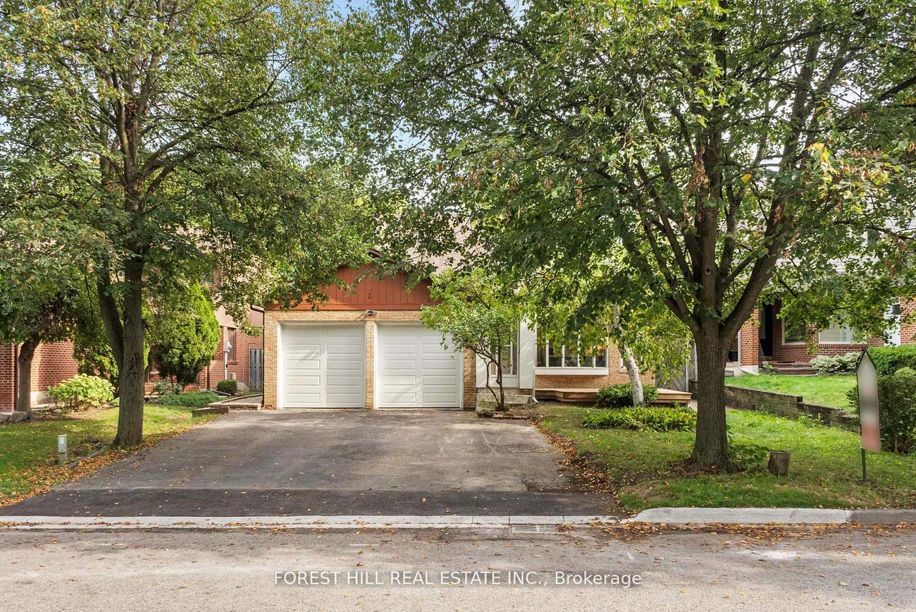 3, Saunders, Aileen-Willowbrook, Markham