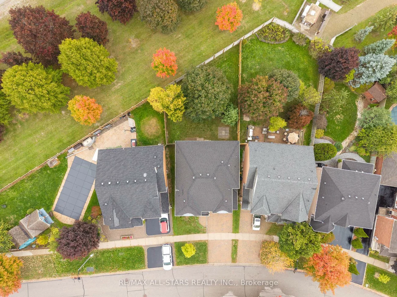 9, Wood Thrush, Legacy, Markham