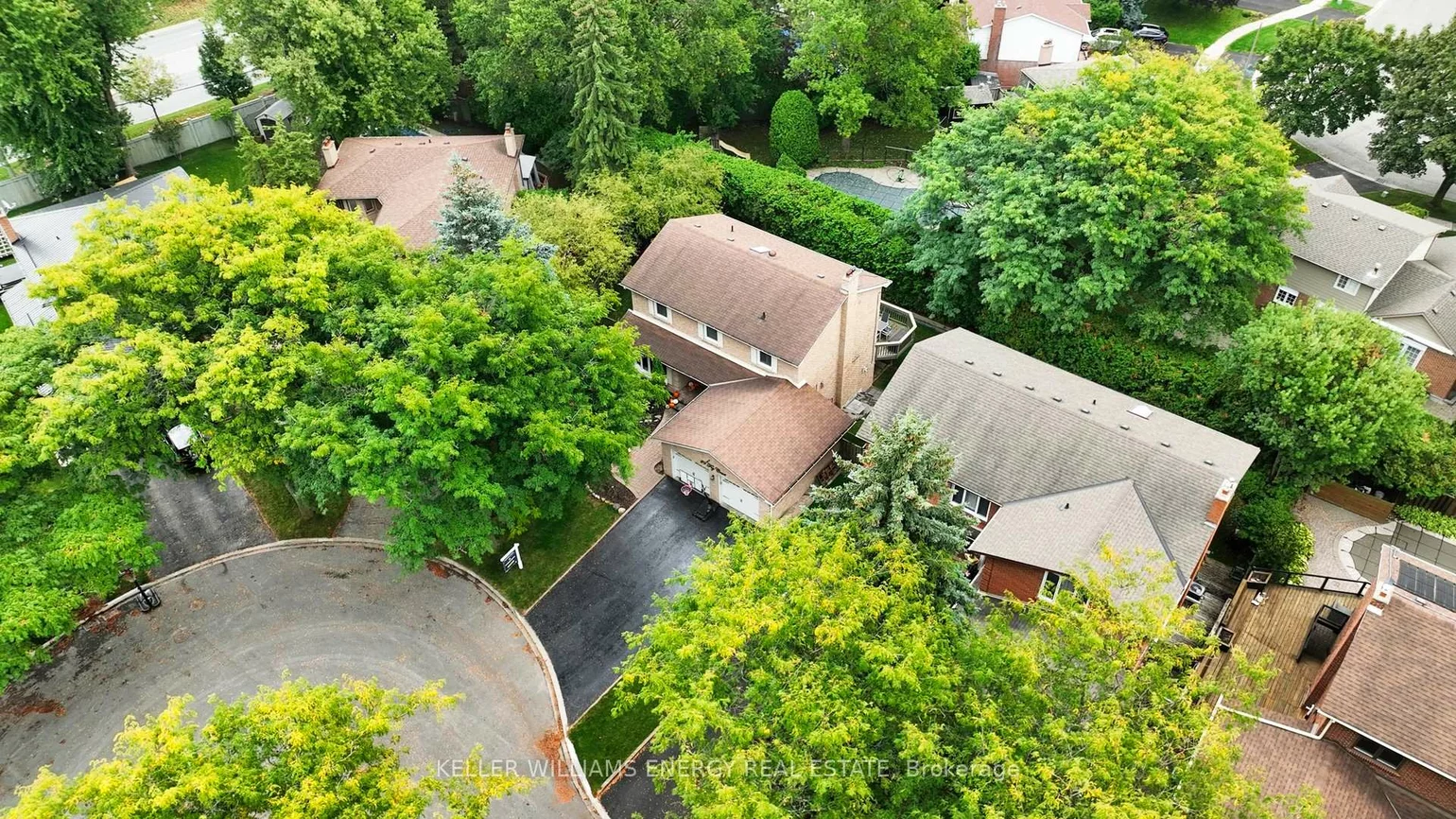 29, Fry, Markham Village, Markham