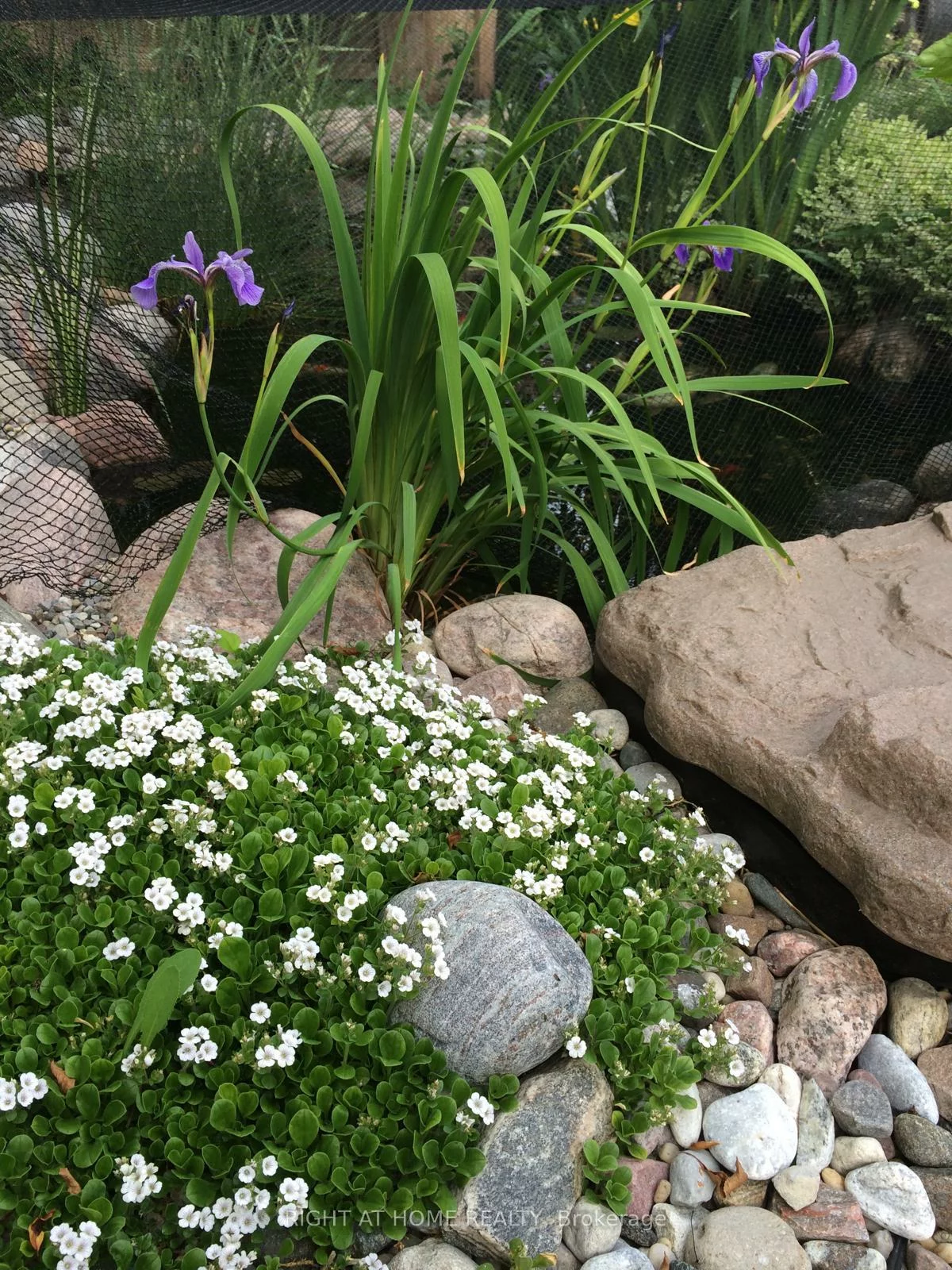 51, Redwood, Unionville, Markham