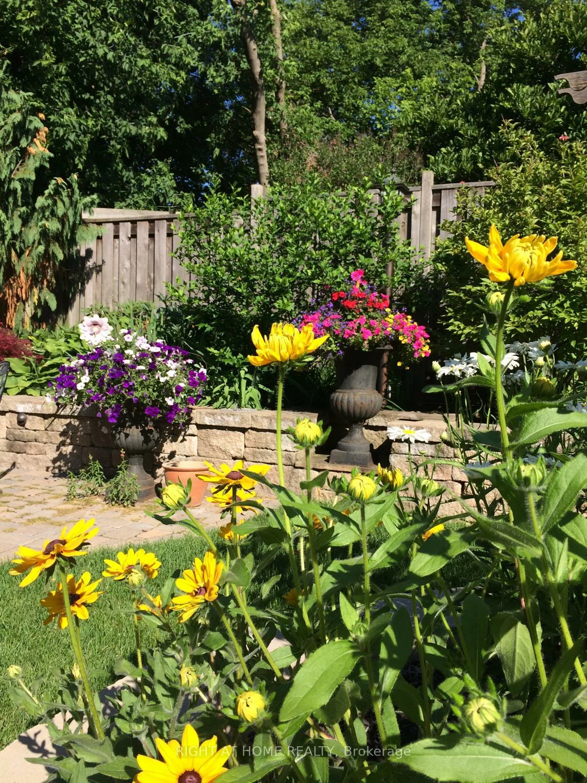 51, Redwood, Unionville, Markham