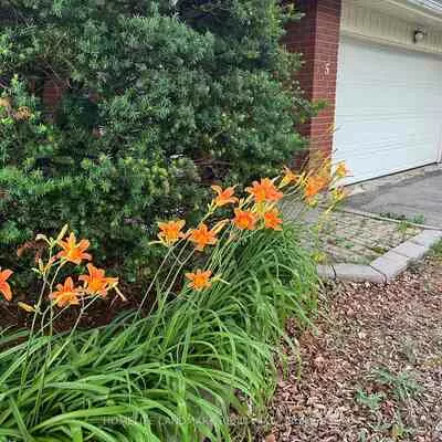 5, Chant, Unionville, Markham