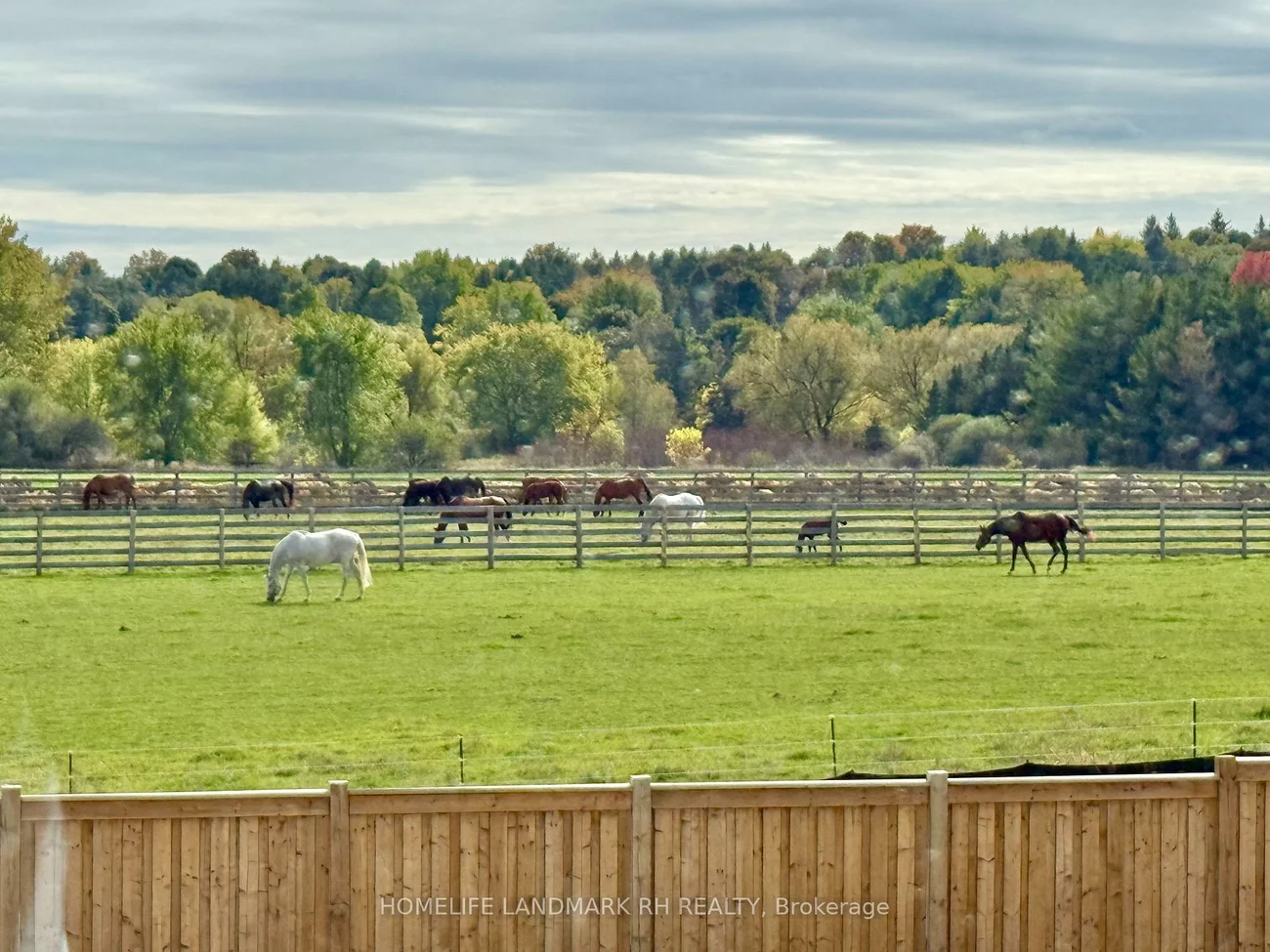 163, Berczy Green, Rural Markham, Markham