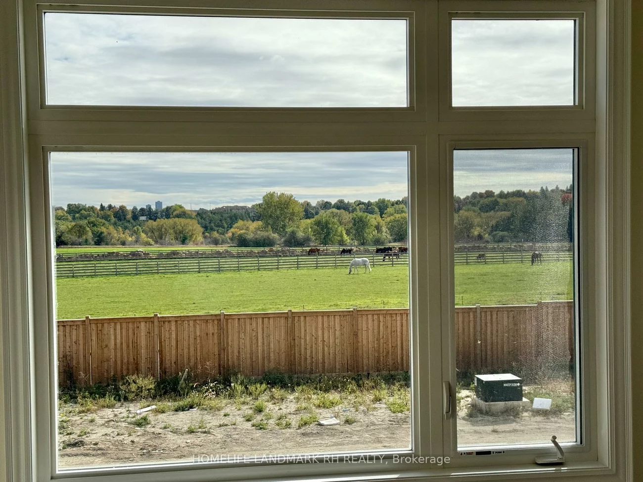 163, Berczy Green, Rural Markham, Markham