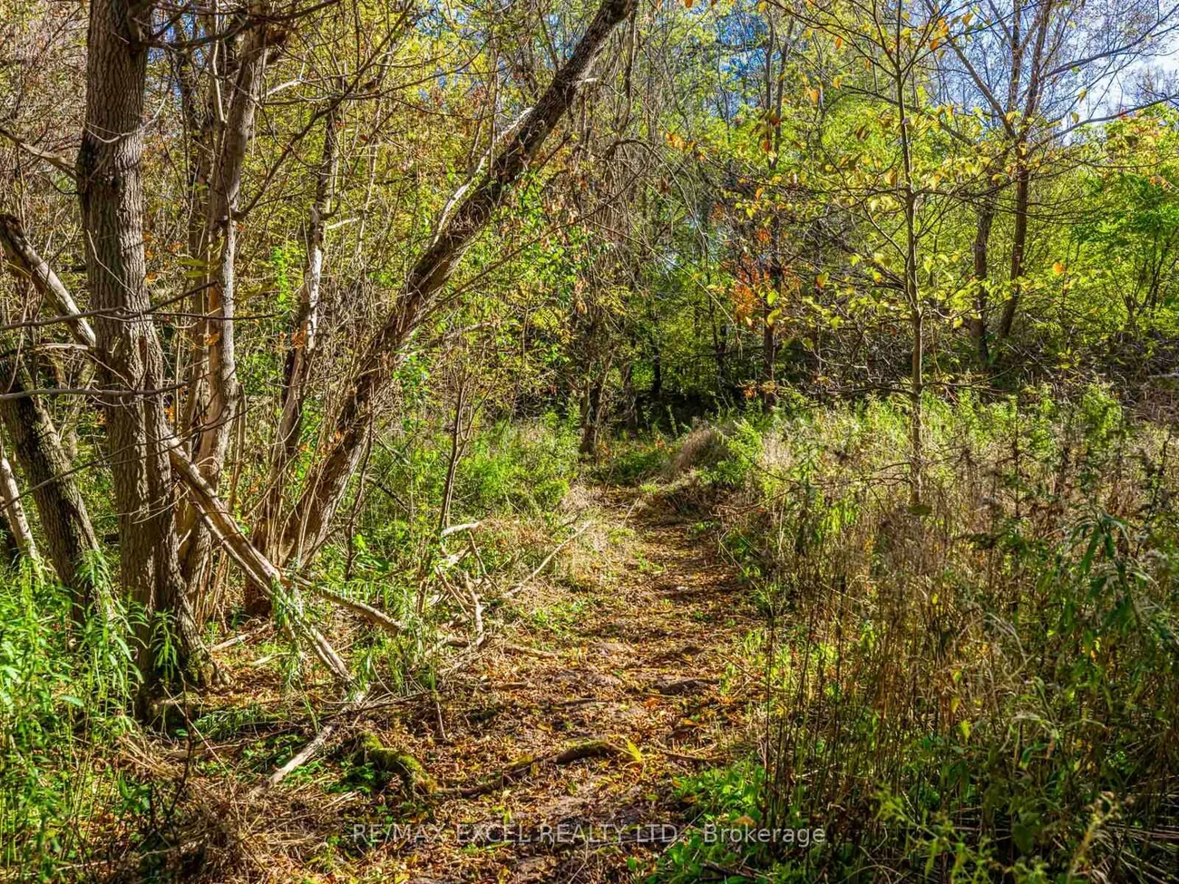 4138, 19th, Rural Markham, Markham