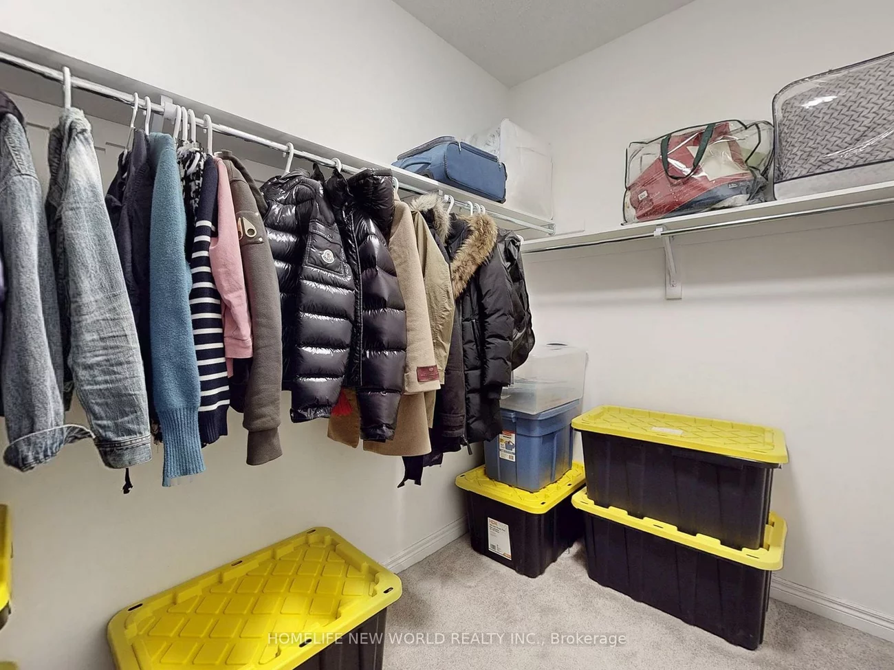 43, Titan, Cedarwood, Markham