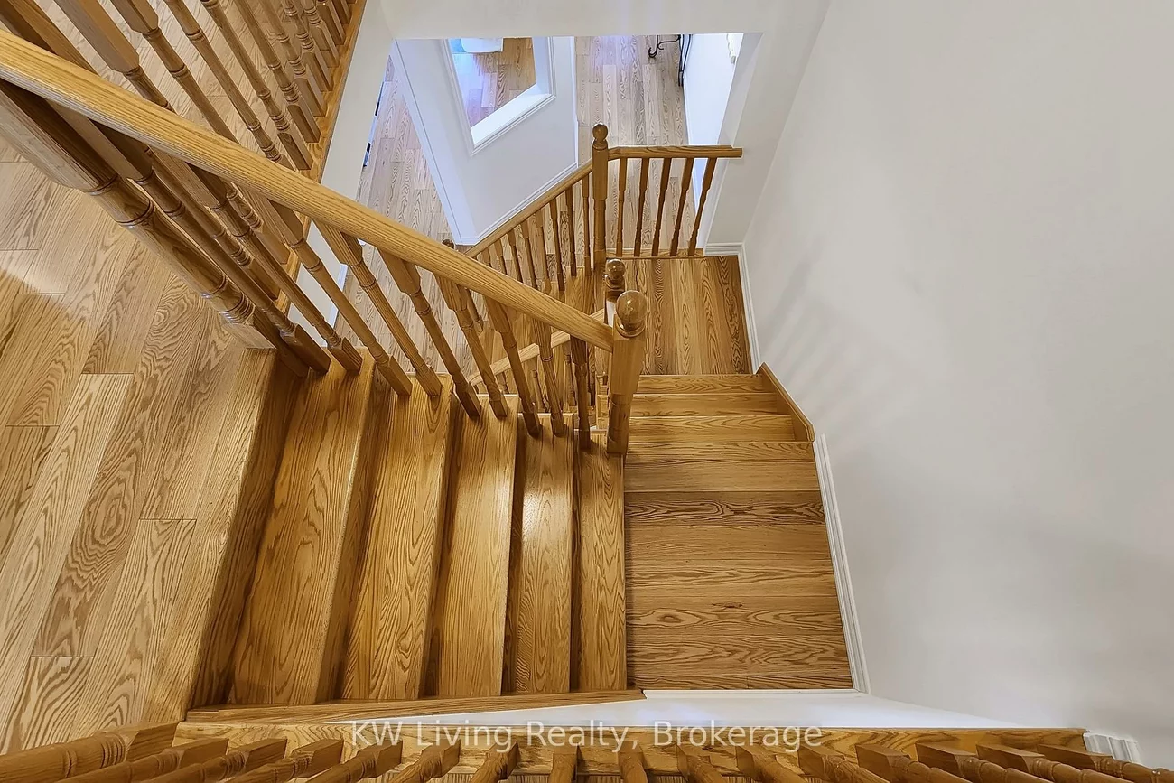 19, Begonia, Wismer, Markham