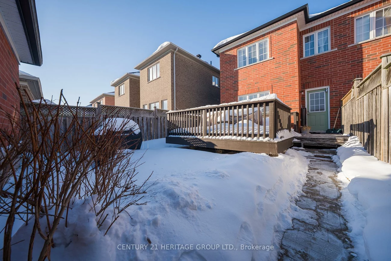 31, Kalvinster, Cornell, Markham