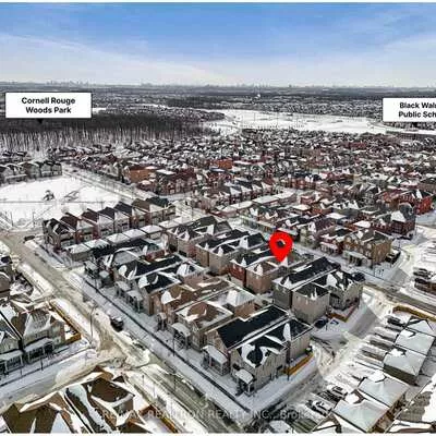 51, Albert Lewis, Cornell, Markham