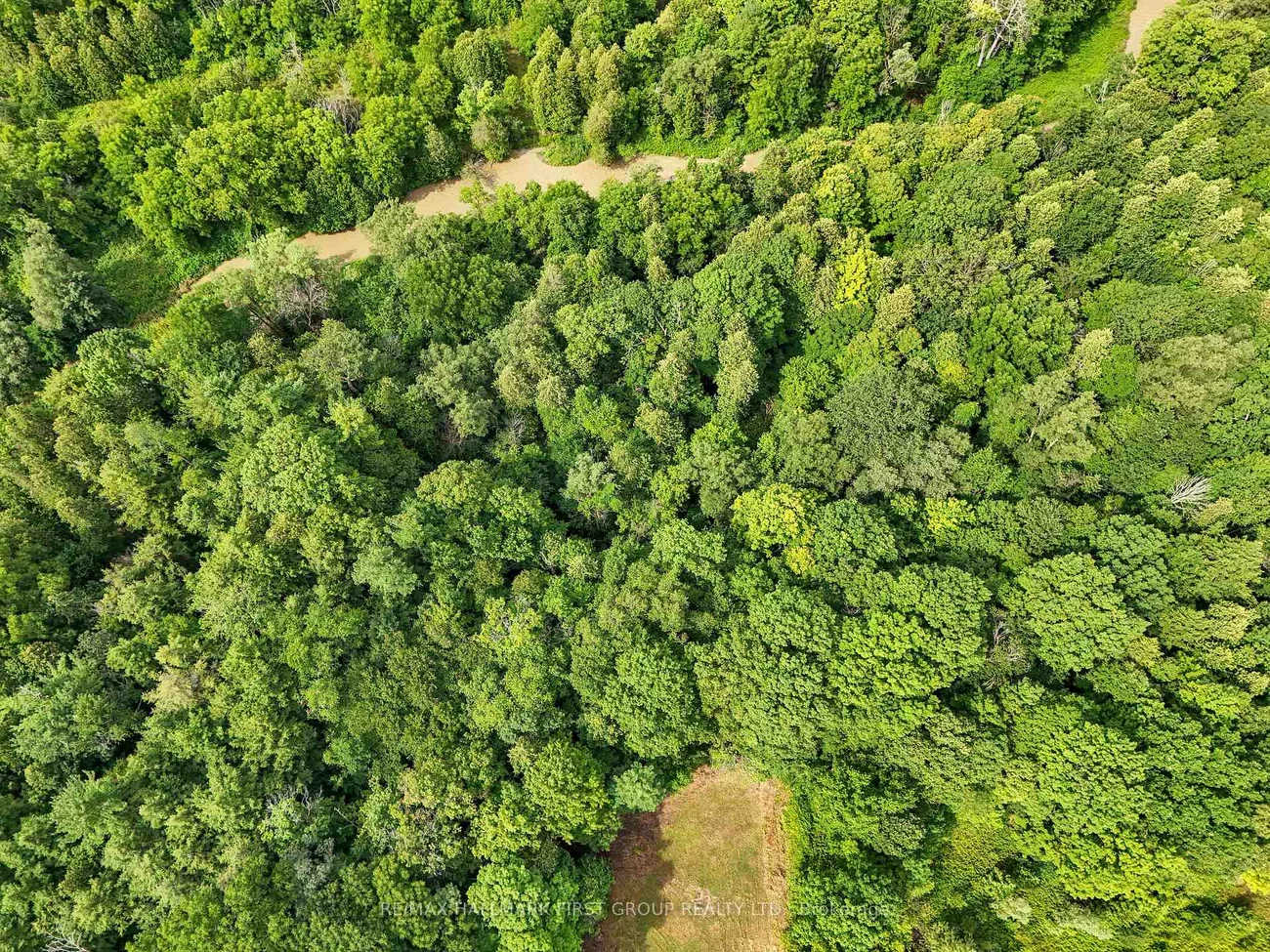 7300, Reesor, Cedar Grove, Markham