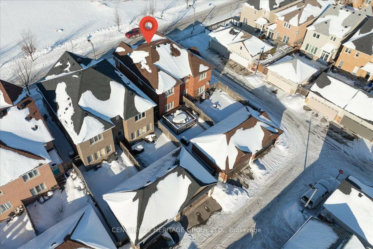 31, Kalvinster, Cornell, Markham