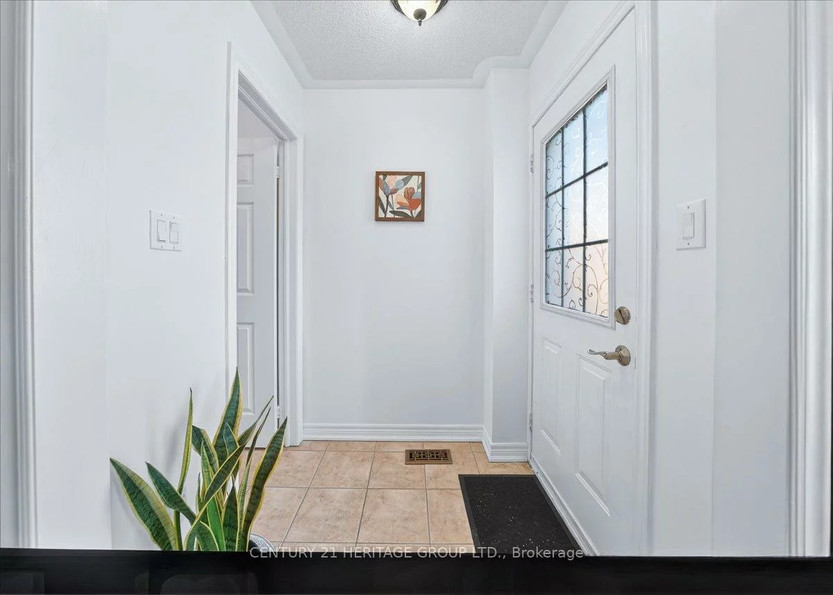 31, Kalvinster, Cornell, Markham