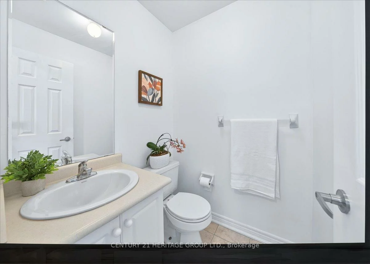 31, Kalvinster, Cornell, Markham