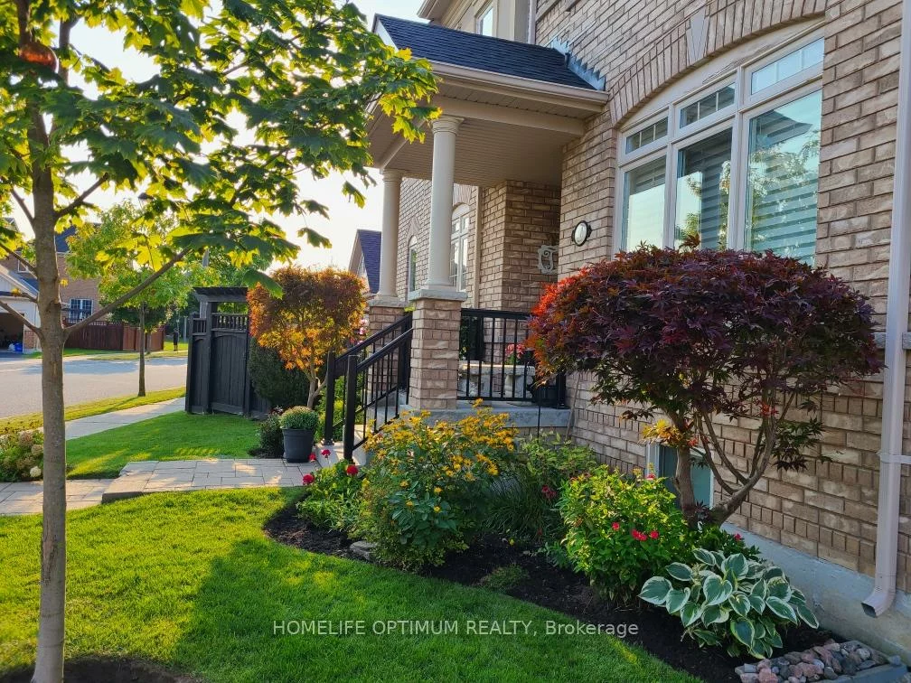 40, Outer Banks, Cornell, Markham