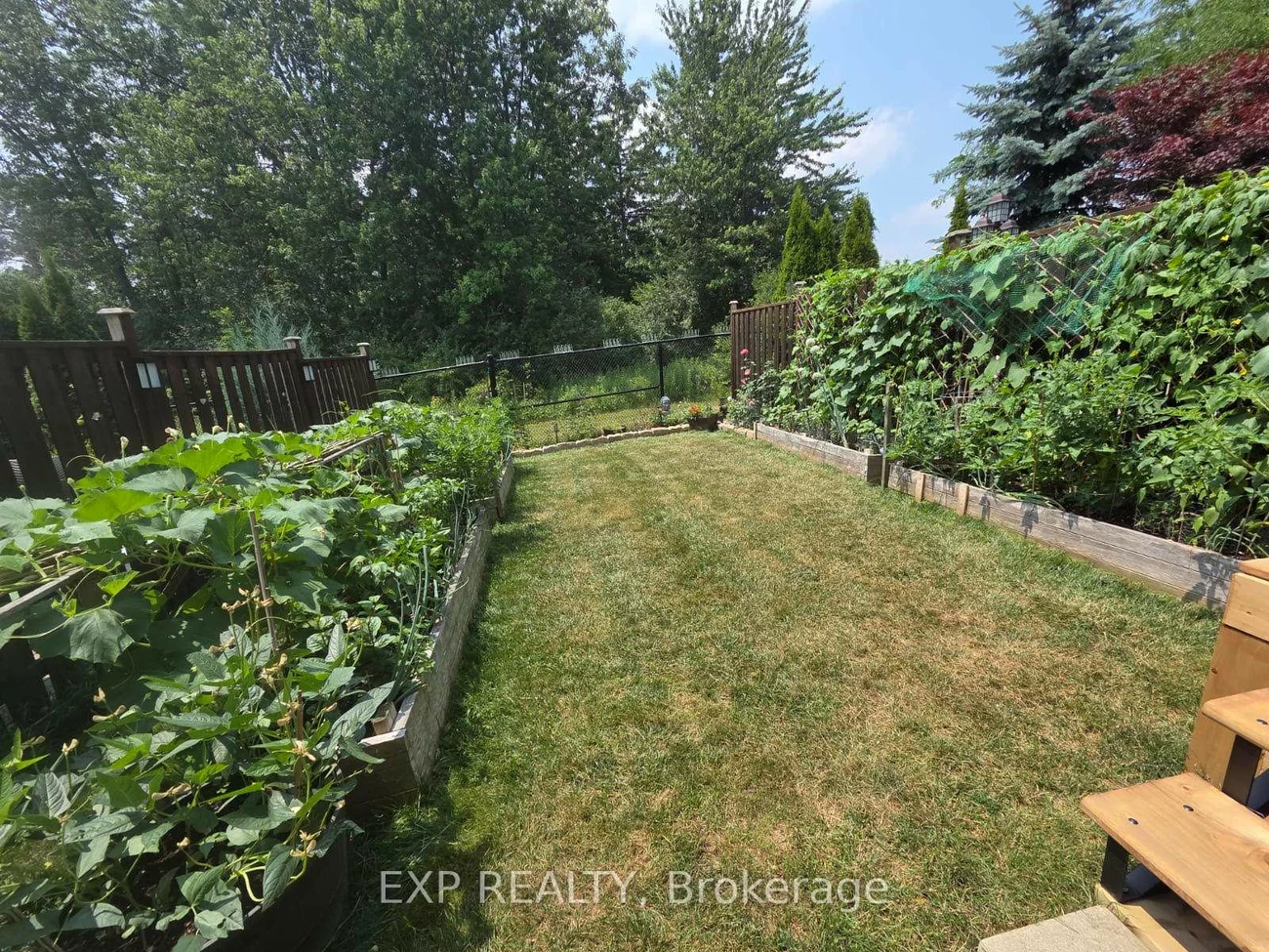 24, Williams, Berczy, Markham