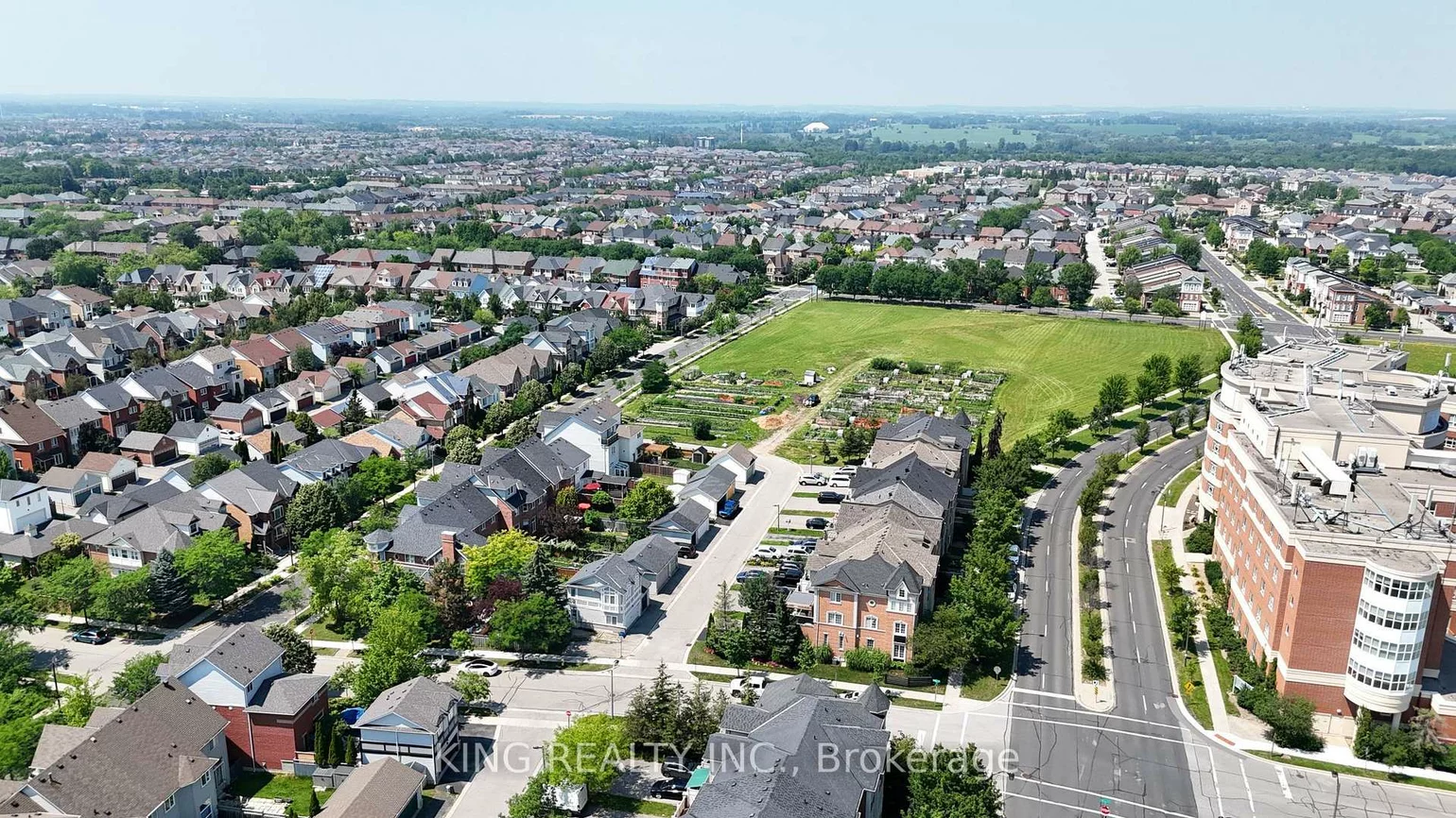 2817, Bur Oak, Cornell, Markham