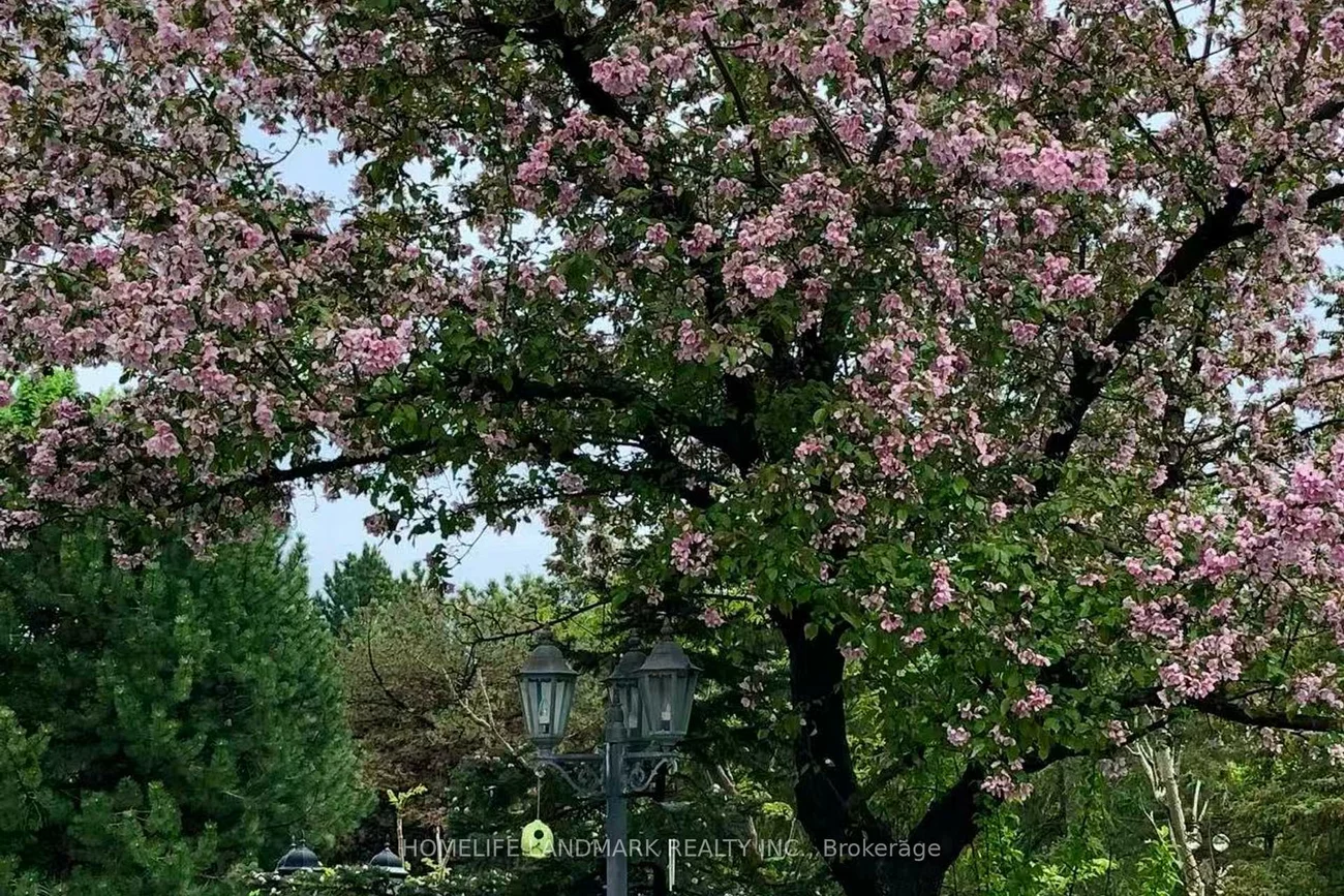 8, Prescott, Bayview Glen, Markham