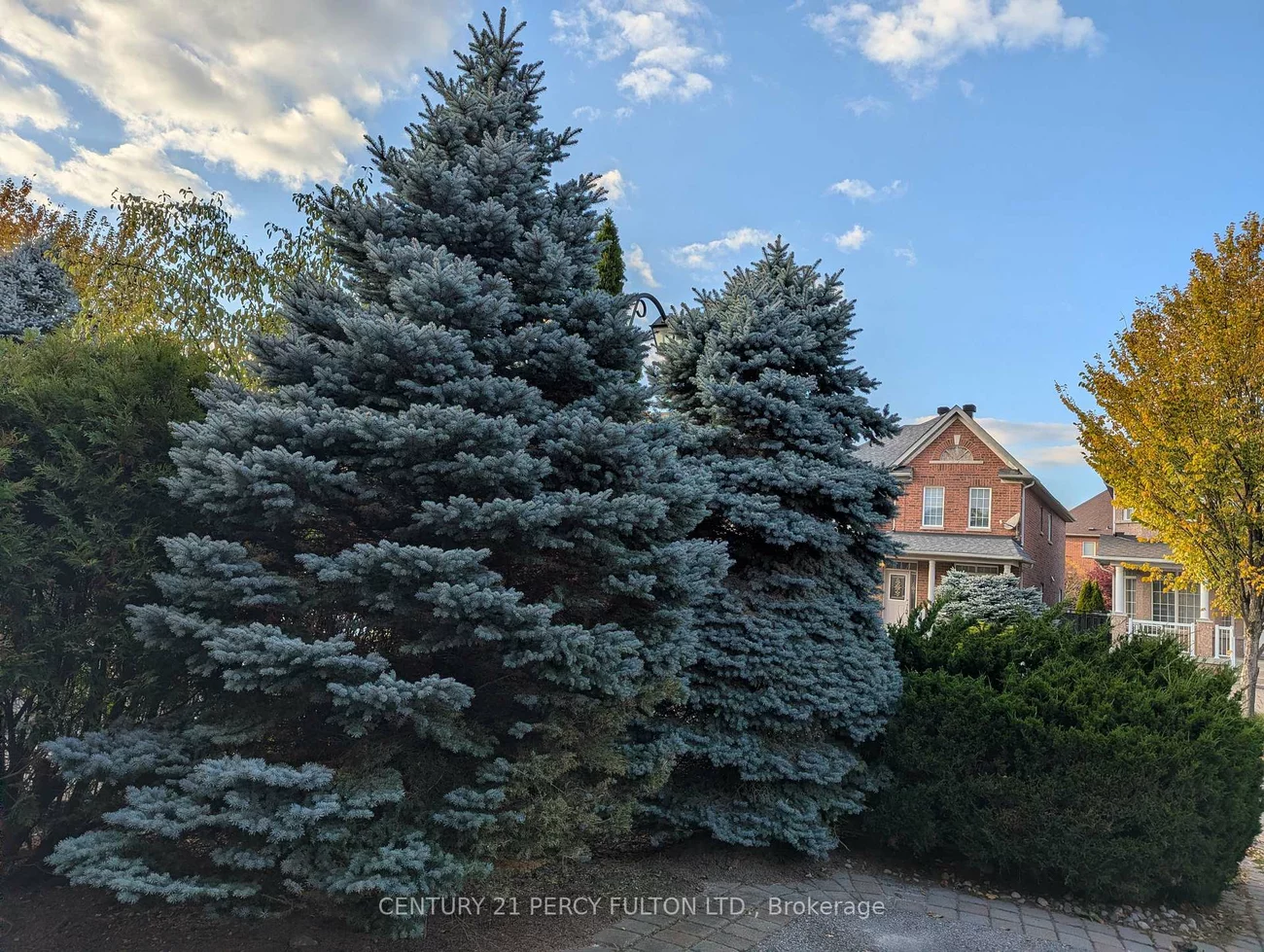 53, Elmrill, Berczy, Markham