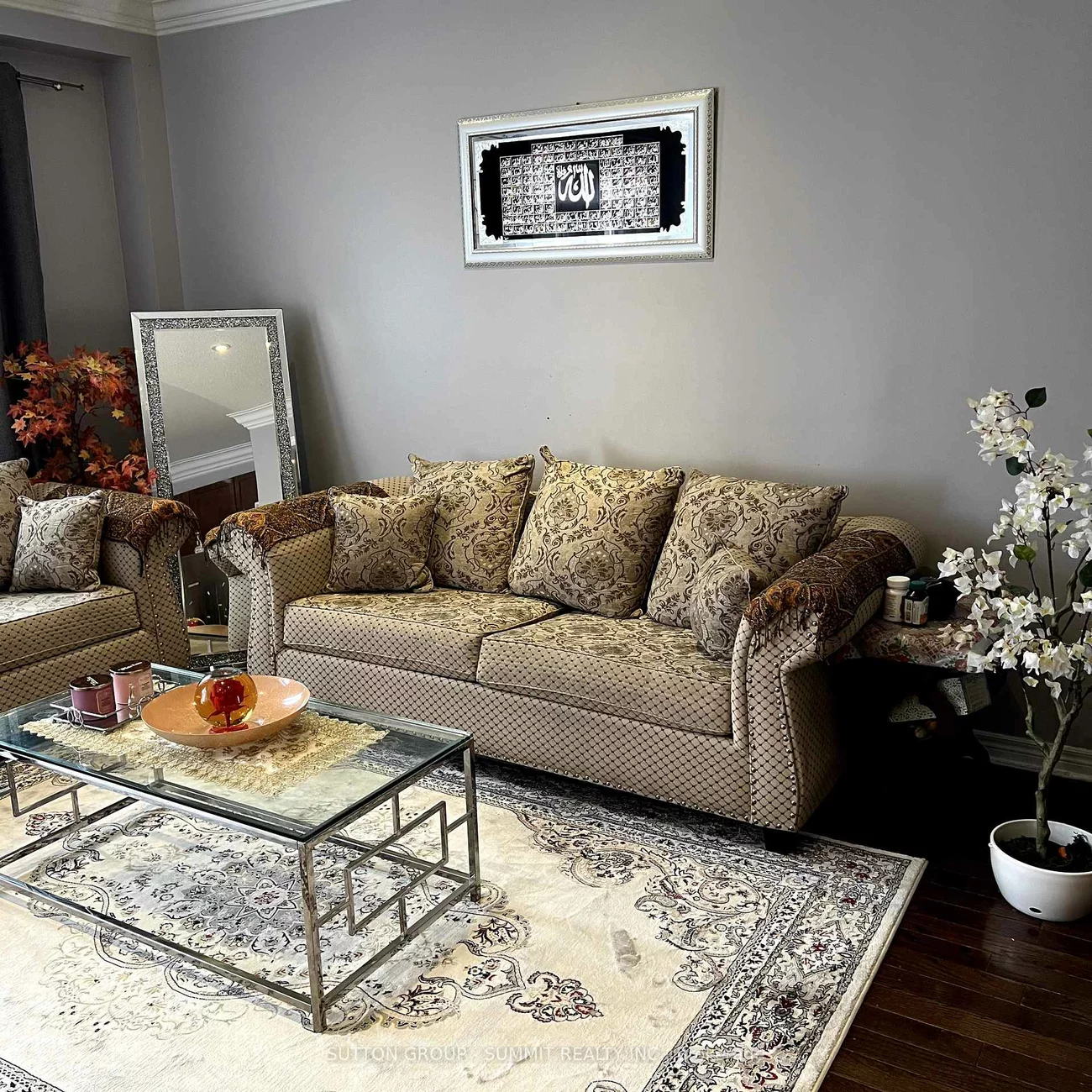 527, Coach, Hurontario, Mississauga
