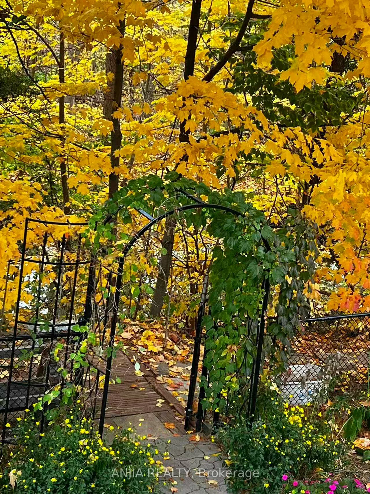 3441, Sanderling, Erin Mills, Mississauga