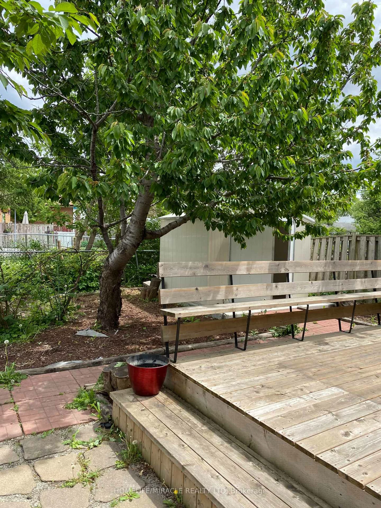 6856, Darcel, Malton, Mississauga