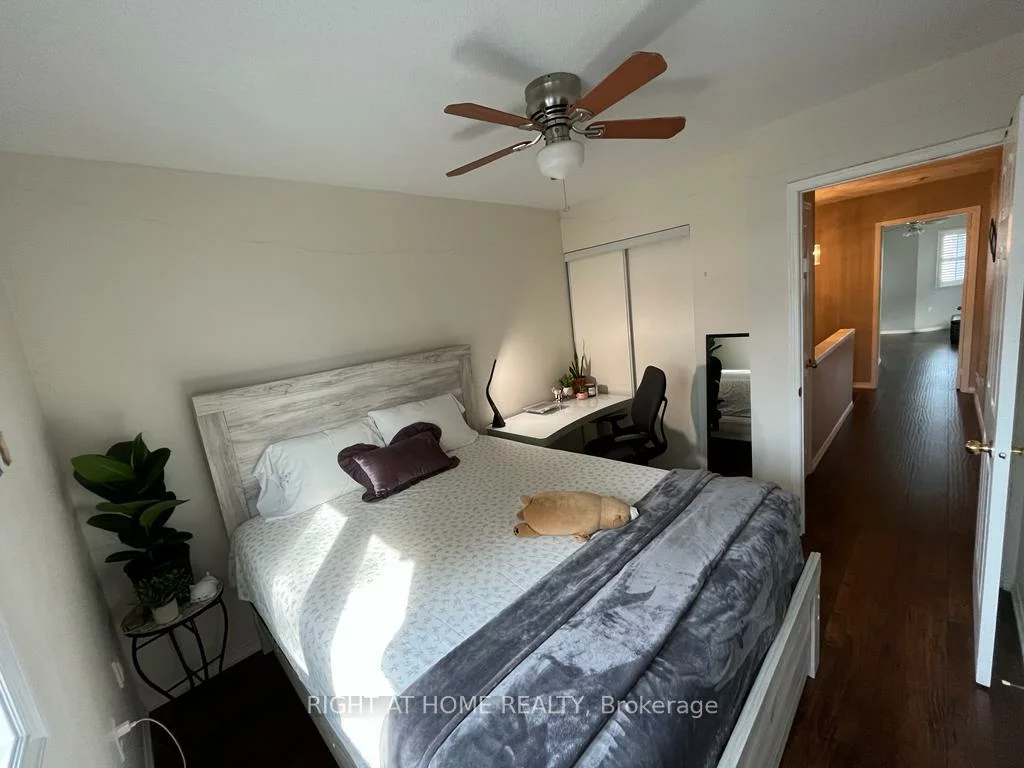 3371, Snowball, Lisgar, Mississauga