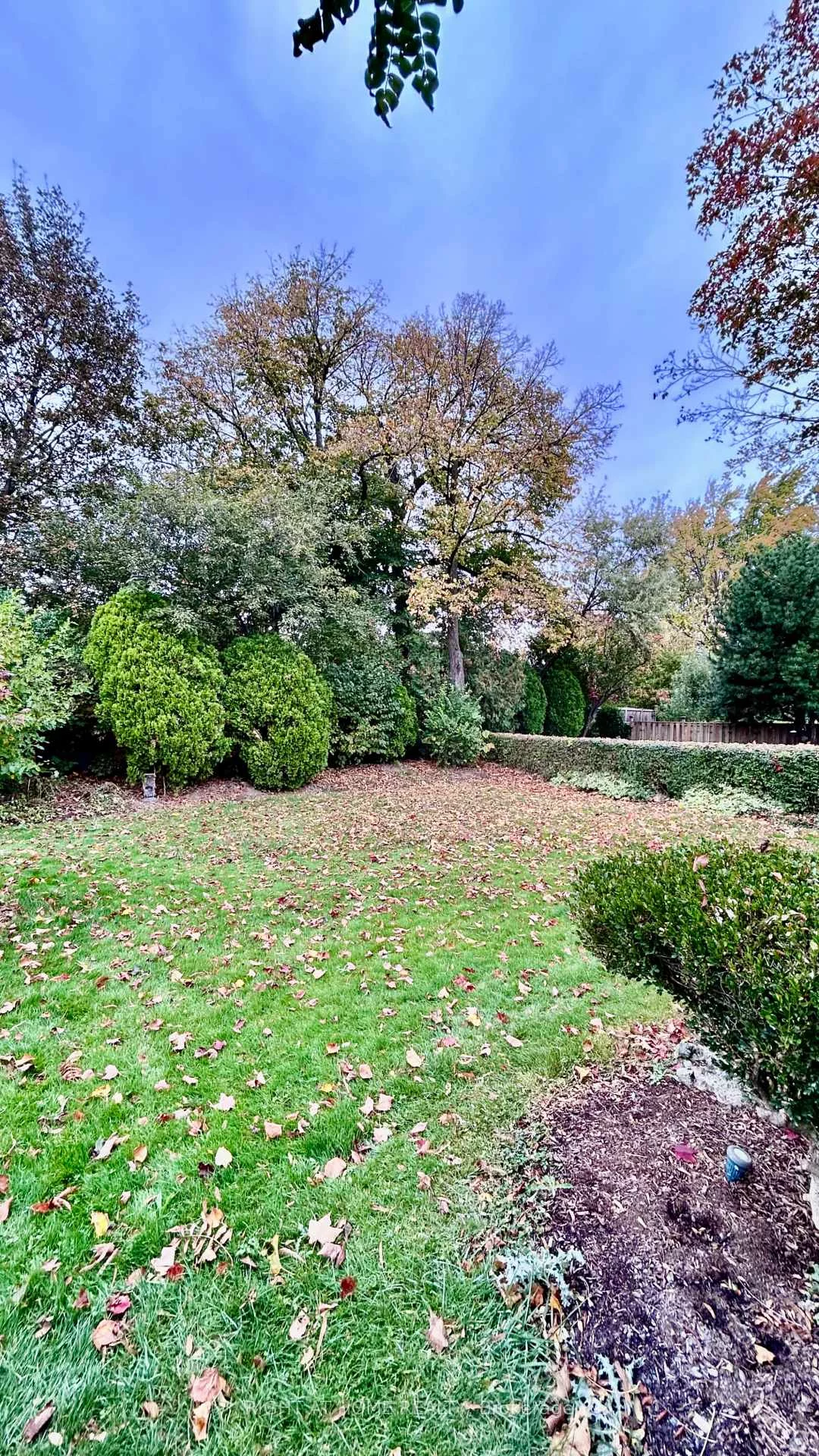 575, Eversley, Mississauga Valleys, Mississauga