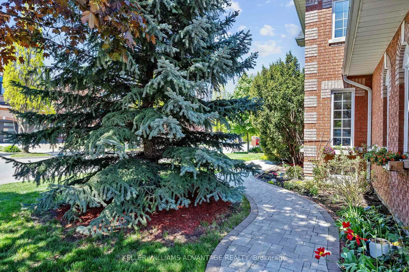 224, Cossack, Fairview, Mississauga
