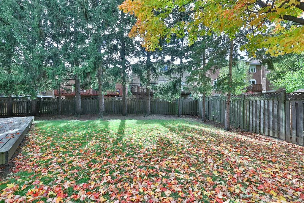 1995, Pitagora, Sheridan, Mississauga