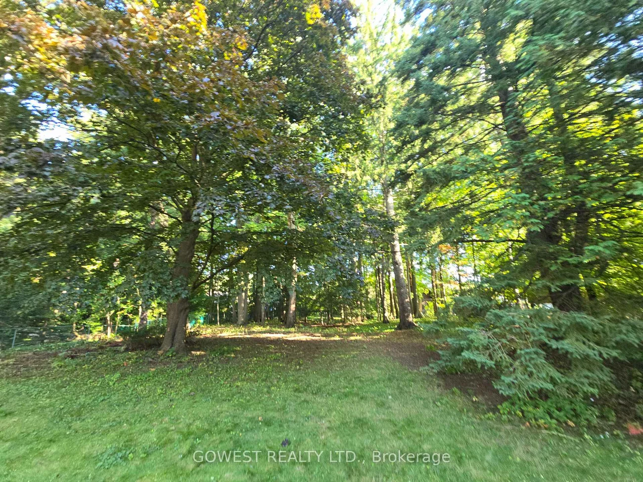 62, Pinewood, Mineola, Mississauga