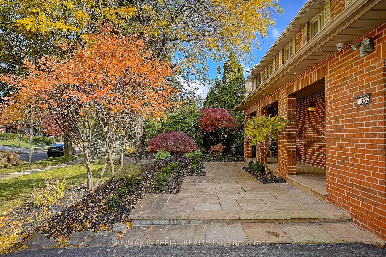 1832, Pine Siskin, Erin Mills, Mississauga