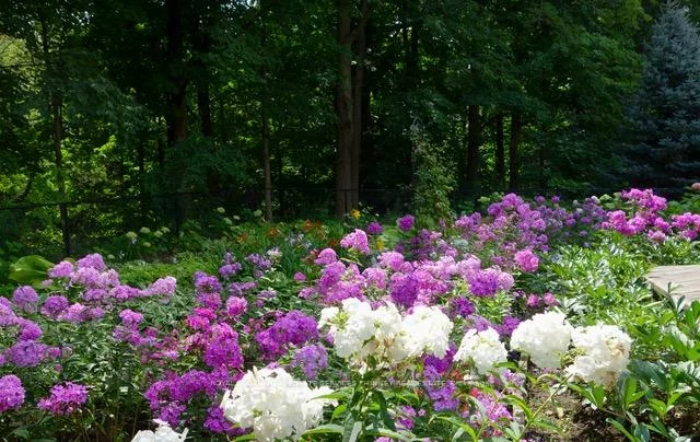 3952, Rolling Valley, Erin Mills, Mississauga