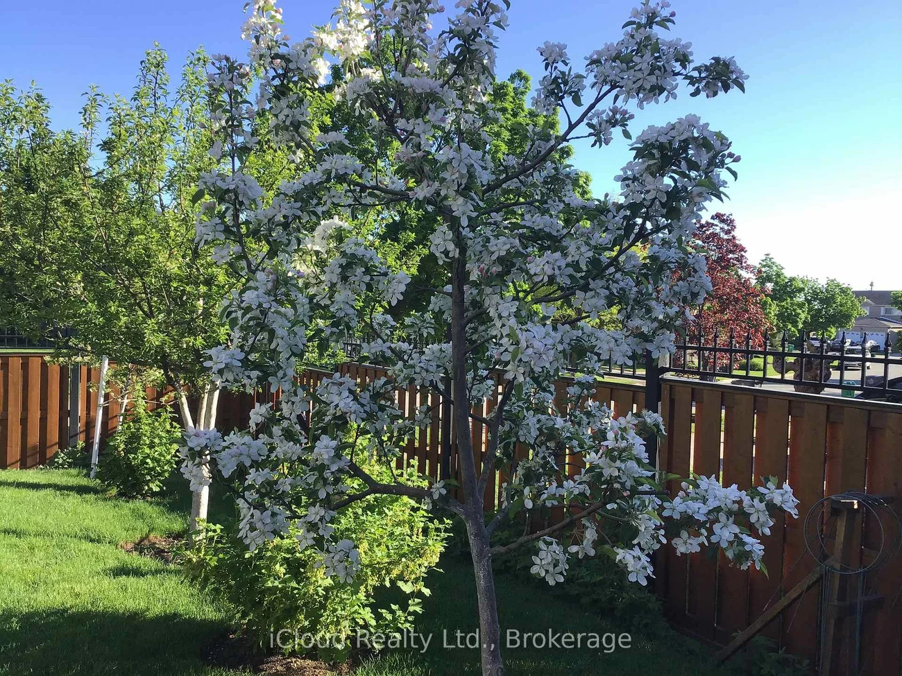 6539, Tripoli, Meadowvale, Mississauga