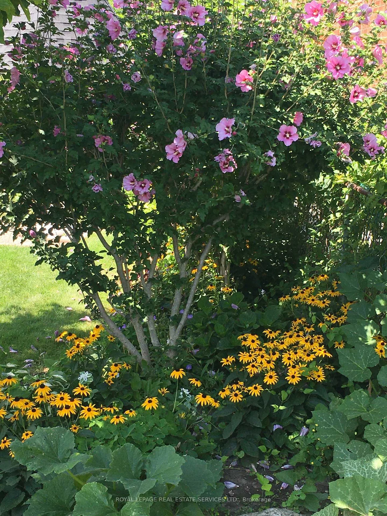 4085, Twine, Rathwood, Mississauga