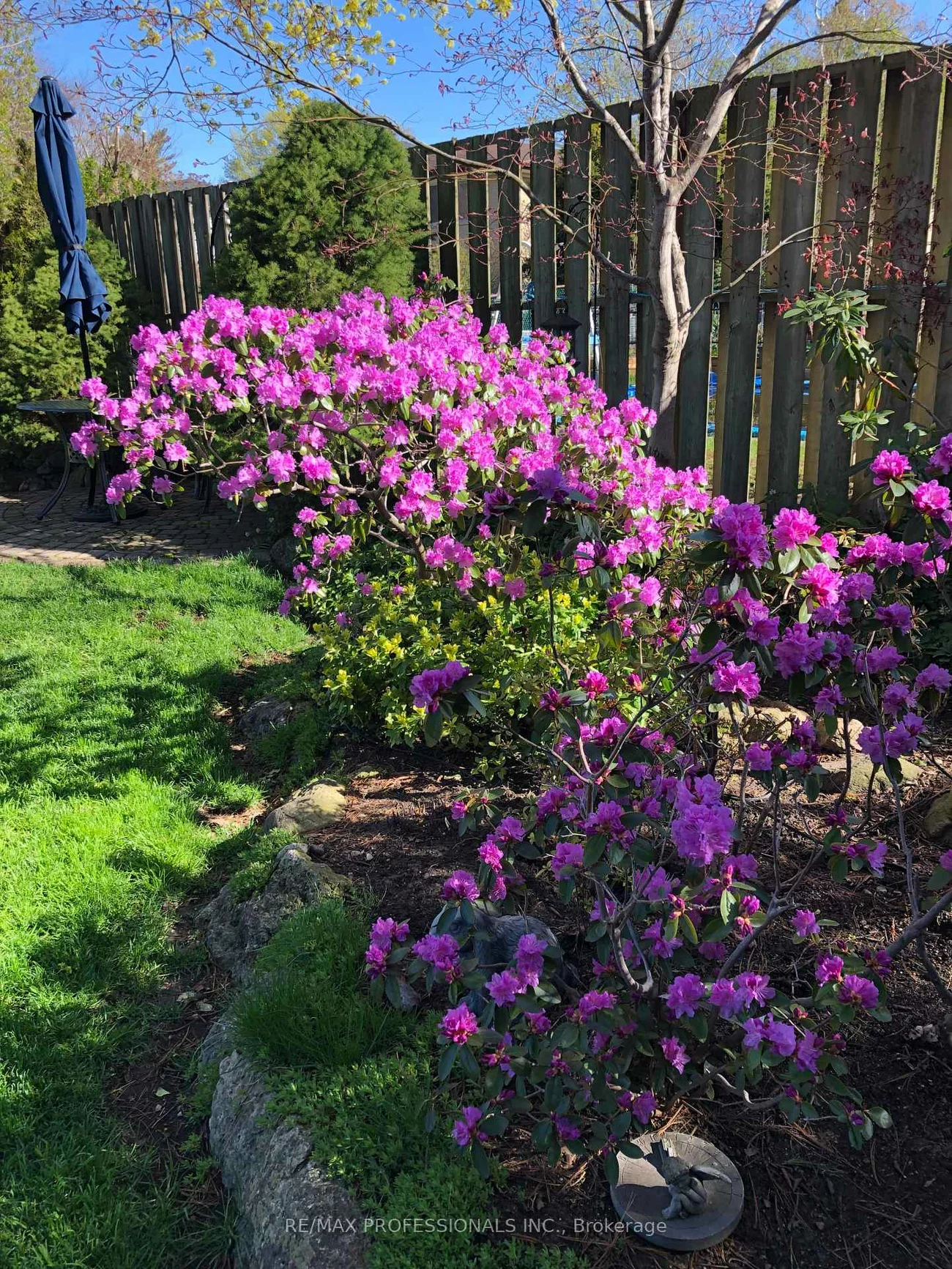 1427, Kenmuir, Mineola, Mississauga