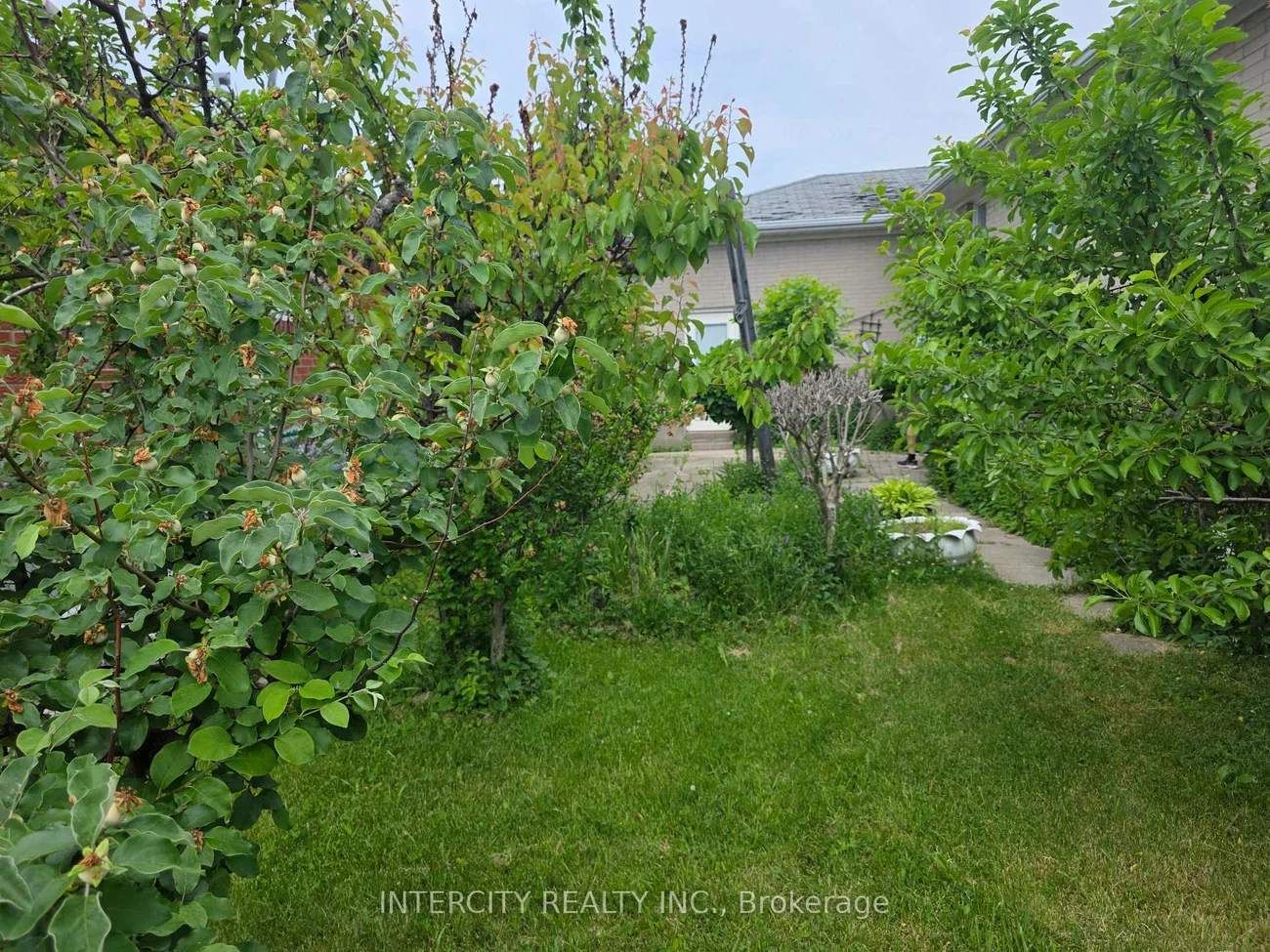 7030, Darcel, Malton, Mississauga