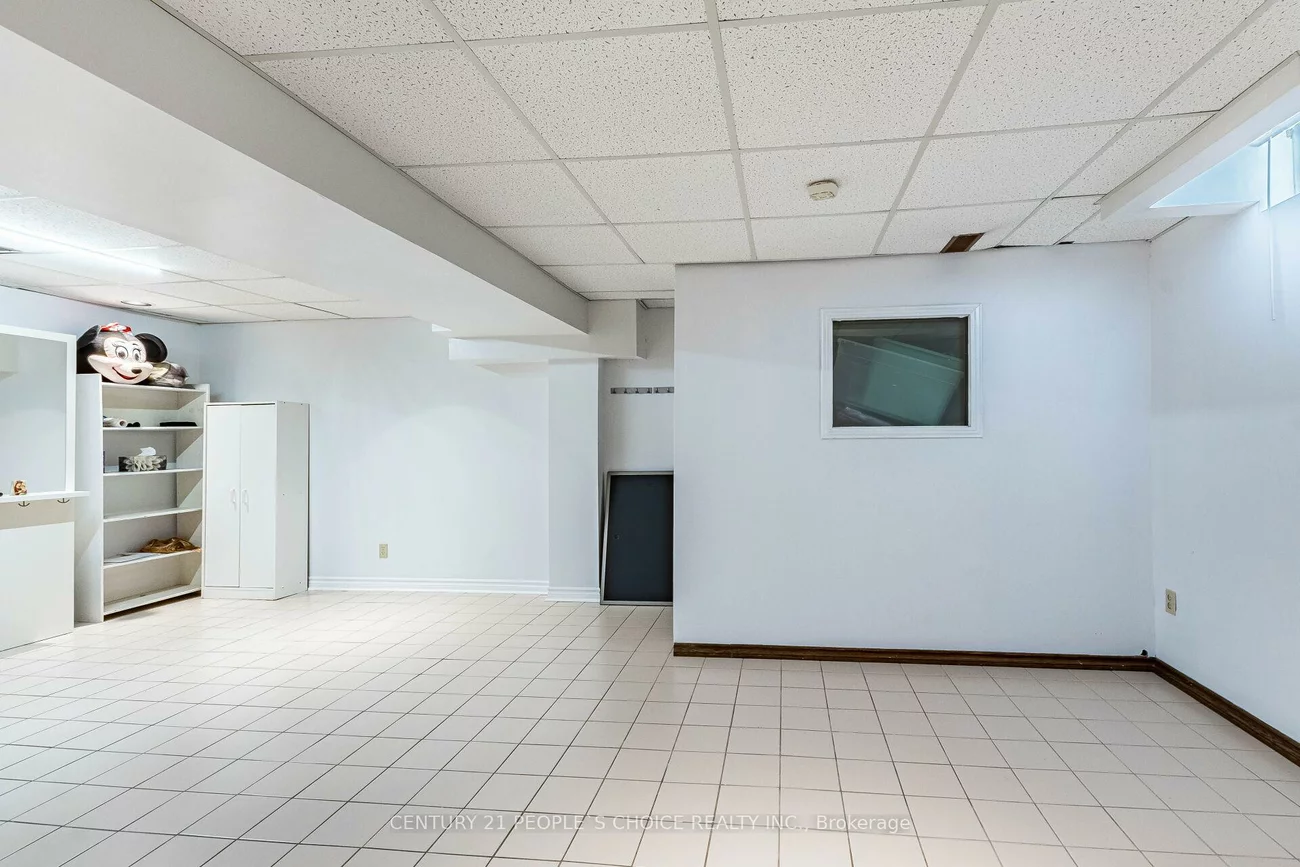 4844, Owl, Hurontario, Mississauga