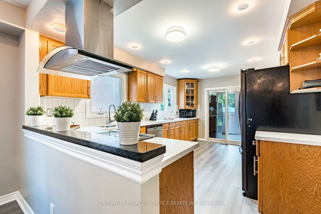 4844, Owl, Hurontario, Mississauga