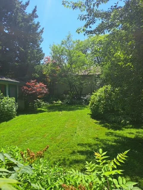 25, ARCH, Streetsville, Mississauga