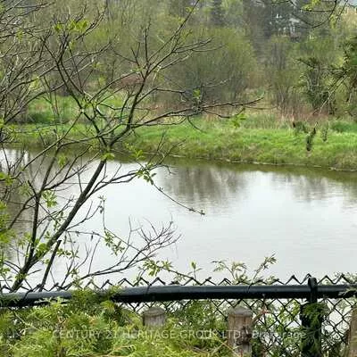 931, Schaeffer, Stonehaven-Wyndham, Newmarket