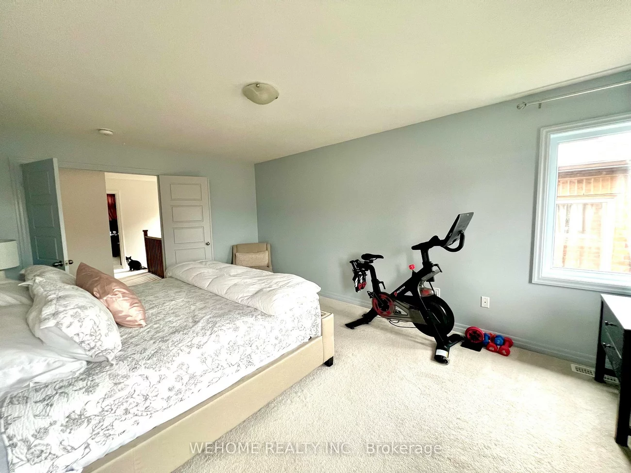 102, Tango, Woodland Hill, Newmarket