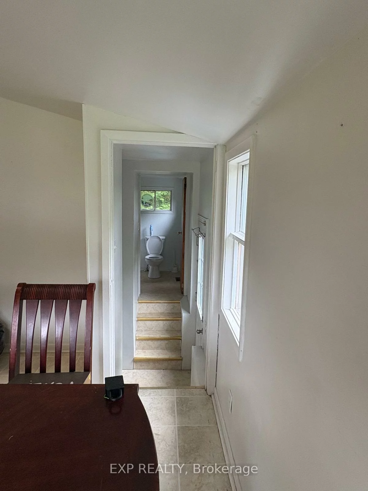 231, Main, Bristol-London, Newmarket
