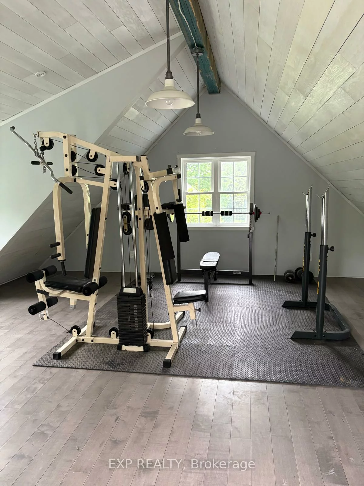 238, Main, Bristol-London, Newmarket