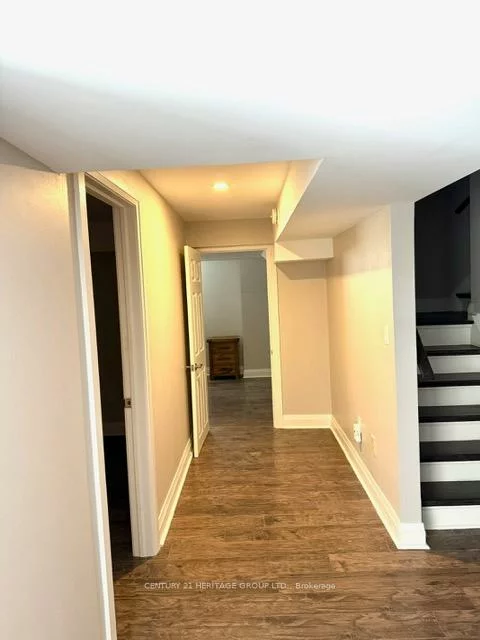 80, Savage, Armitage, Newmarket