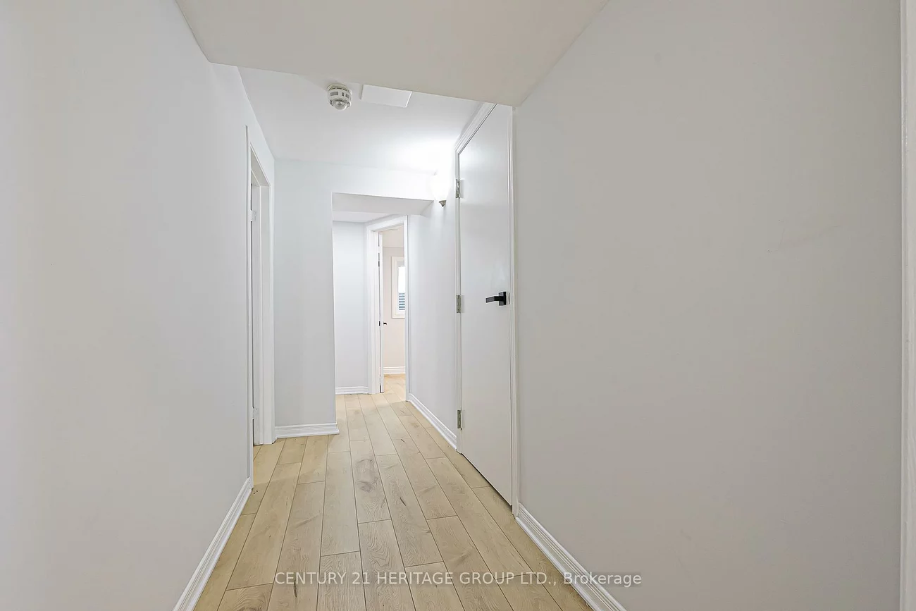 225, Septonne, Bristol-London, Newmarket